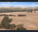 thumbnail-spiders-gebhardt-road-wirrabara-sa-5481-10