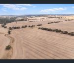 thumbnail-spiders-gebhardt-road-wirrabara-sa-5481-0