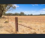 thumbnail-spiders-gebhardt-road-wirrabara-sa-5481-8