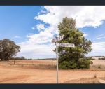 thumbnail-spiders-gebhardt-road-wirrabara-sa-5481-12