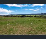 thumbnail-1235-glen-alice-rd-rylstone-nsw-2849-12