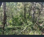 thumbnail-19-noogie-street-macleay-island-qld-4184-0