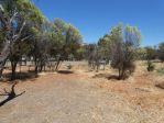 thumbnail-9-harcourt-st-toodyay-wa-6566-2