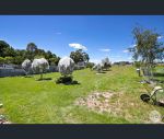 thumbnail-972-linton-carngham-road-snake-valley-vic-3351-14