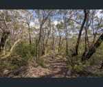 thumbnail-305-323-evans-lookout-road-blackheath-nsw-2785-10