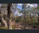 thumbnail-305-323-evans-lookout-road-blackheath-nsw-2785-12