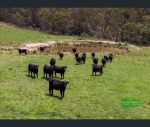 thumbnail-655-range-road-meadow-flat-nsw-2795-11