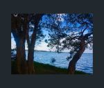 thumbnail-2251-kamilaroo-avenue-lake-munmorah-nsw-2259-6