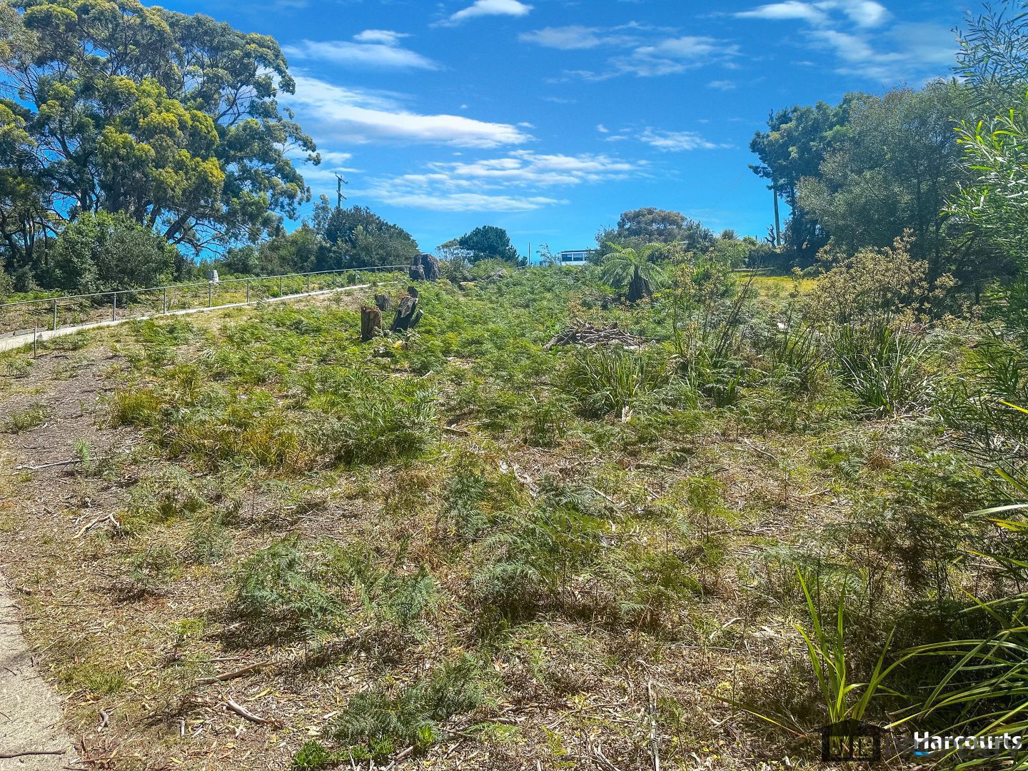 44 Treloggen Drive, Binalong Bay TAS 7216