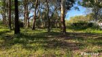 thumbnail-35-perulpa-dr-lamb-island-qld-4184-8