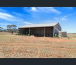 thumbnail-twigden-mccallum-road-booleroo-centre-sa-5482-6