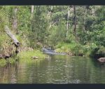 thumbnail-lot-2-old-mill-rd-emu-vale-qld-4371-11