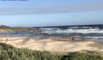 thumbnail-sell-land-anna-bay-nsw-2316-2