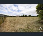 thumbnail-31-arthur-street-evandale-tas-7212-2