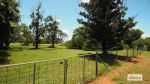 thumbnail-36-margaret-street-duaringa-qld-4712-5