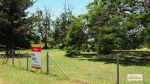 thumbnail-36-margaret-street-duaringa-qld-4712-0