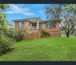 thumbnail-43-townview-road-mount-pritchard-nsw-2170-0