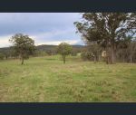 thumbnail-lot-120-black-swamp-road-tenterfield-nsw-2372-10