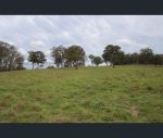 thumbnail-lot-120-black-swamp-road-tenterfield-nsw-2372-9