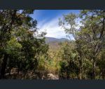 thumbnail-97-ripley-road-west-moonah-tas-7009-14