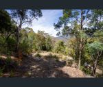 thumbnail-97-ripley-road-west-moonah-tas-7009-10