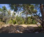 thumbnail-97-ripley-road-west-moonah-tas-7009-6