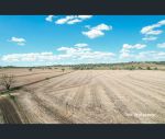 thumbnail-gragin-boundary-road-delungra-nsw-2403-11