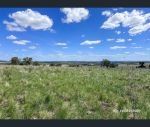 thumbnail-gragin-boundary-road-delungra-nsw-2403-14