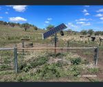 thumbnail-gragin-boundary-road-delungra-nsw-2403-8