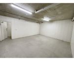 thumbnail-storage19-hutchinson-streetst-peters-nsw-2044-2