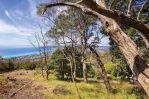 thumbnail-12-nestle-court-arthurs-seat-vic-3936-2