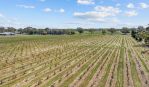 thumbnail-2960-barossa-valley-way-siegersdorf-light-pass-road-tanunda-sa-5352-4