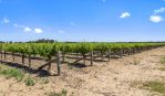 thumbnail-2960-barossa-valley-way-siegersdorf-light-pass-road-tanunda-sa-5352-10