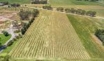 thumbnail-2960-barossa-valley-way-siegersdorf-light-pass-road-tanunda-sa-5352-1