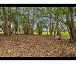 thumbnail-3-boundary-street-ilarwill-nsw-2463-6