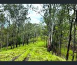 thumbnail-790-mongogarie-road-casino-nsw-2470-6