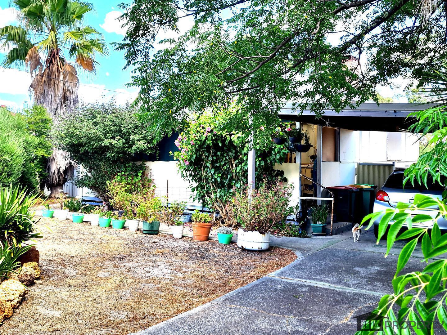 16 Simpson Street, Collie WA 6225