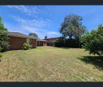 thumbnail-13-barrington-street-muswellbrook-nsw-2333-14