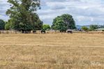 thumbnail-59-bishopsbourne-road-carrick-tas-7291-4