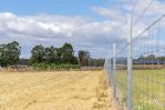 thumbnail-59-bishopsbourne-road-carrick-tas-7291-2