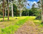 thumbnail-445-tandur-traveston-road-traveston-qld-4570-1