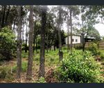 thumbnail-33-camena-street-macleay-island-qld-4184-3