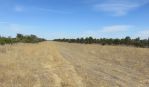 thumbnail-sell-land-eganu-wa-6515-10