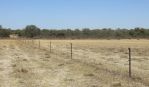 thumbnail-sell-land-eganu-wa-6515-14