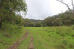 thumbnail-1341a-putty-valley-road-putty-nsw-2330-13