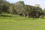 thumbnail-1341a-putty-valley-road-putty-nsw-2330-8