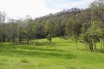 thumbnail-1341a-putty-valley-road-putty-nsw-2330-9