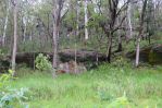 thumbnail-1341a-putty-valley-road-putty-nsw-2330-12