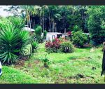 thumbnail-12-north-street-tamborine-mountain-qld-4272-0