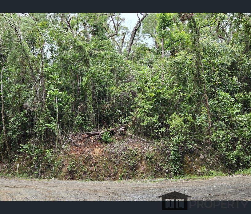 Lot 232 White Beech Road, Cow Bay, Daintree, Qld 4873
